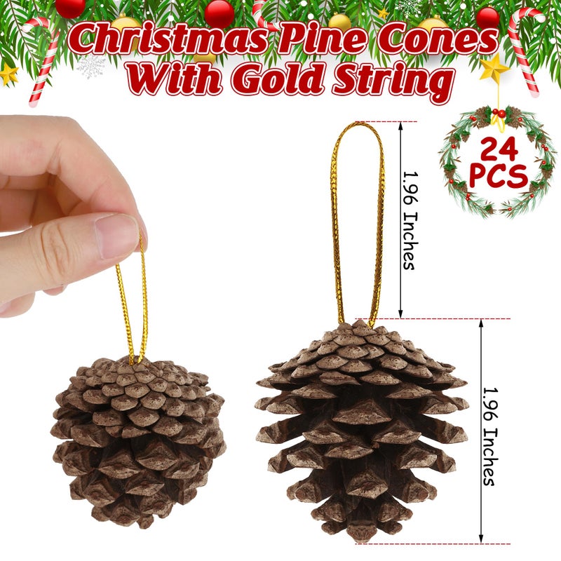 Helimoto 24 PCS Natural Pine Cones, 1.96 IN Pinecone Ornaments, Rustic Pine Cones for Crafts, Winter Decorations for Home, Bulk Pine Cones with Gold String for Christmas Table Decor Diy Christmas Ornaments - Image 2